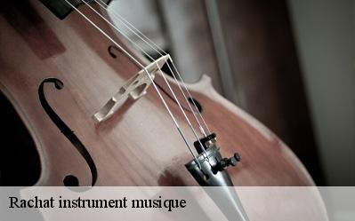 Rachat instrument musique  91770