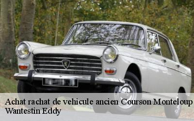 Achat rachat de vehicule ancien  91680