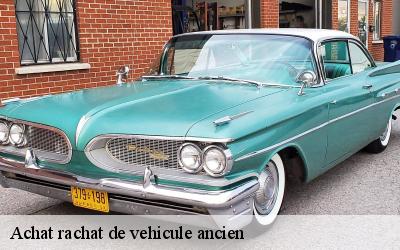 Achat rachat de vehicule ancien  91470